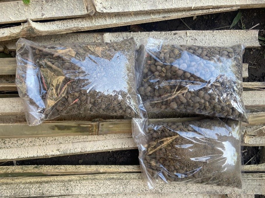 Mahasiswa UMM Dampingi Peternak Lumajang Olah Limbah Jadi Pupuk, Peternakan Konvensional Siap Go Digital 3