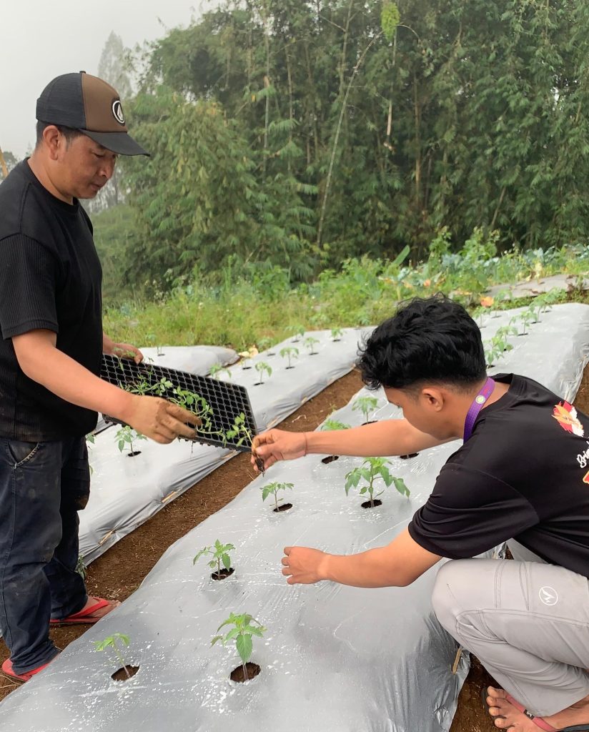 PMM UMM Prokernya Unik di Bromo, Mulai Tradisi, Budaya, Sains, Hingga Maggot BSF 2
