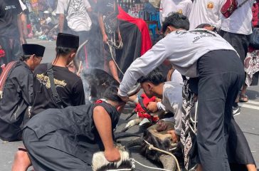 WhatsApp Image 2025-09-26 at 17.12.21 (1)