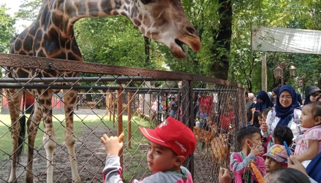 WhatsApp Image 2026-02-12 at 06.39.52 (2)