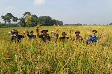 WhatsApp Image 2026-03-06 at 21.28.47