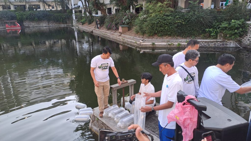 FPP UMM Tebar 10 Ribu Ikan Lokal, Perkuat Konservasi Keanekaragaman Hayati Perairan Indonesia 1 FPP UMM Tebar 10 Ribu Ikan Lokal, Perkuat Konservasi Keanekaragaman Hayati Perairan Indonesia 1