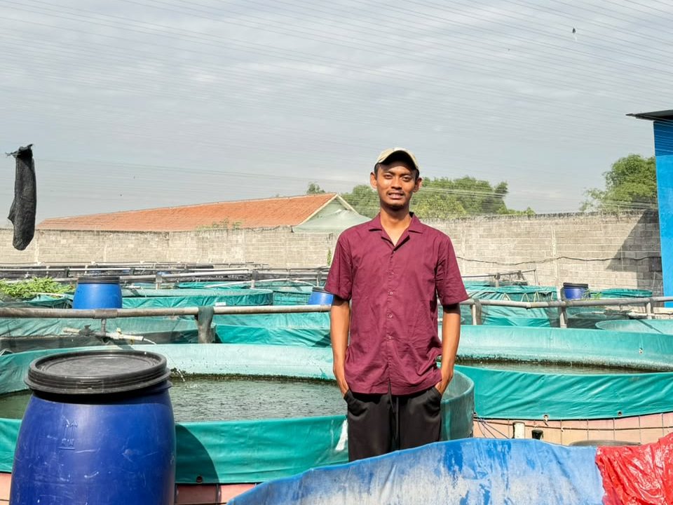 Bekal Prestasi-Magang Industri, Alumni Teknologi dan Manajemen Perikanan UMM Sukses Juragan Lele di Nganjuk  3